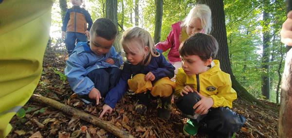 Eine Gruppe von Kindern im Wald